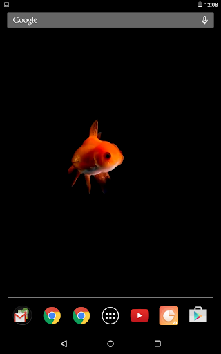 Beautiful Fish Video Live Wall