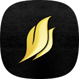 Golden Black Theme - Launcher icon
