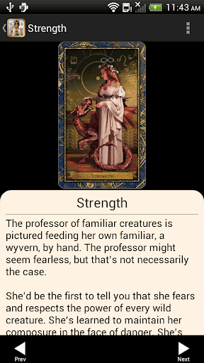 Wizards Tarot Screen 2