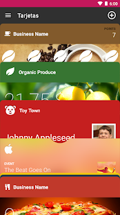 Vista previa de la aplicación