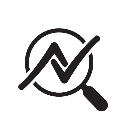 Nsiight logo