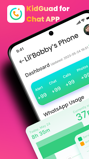 Vista previa de la aplicación