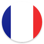 Basic French - Master 900 French words Apk