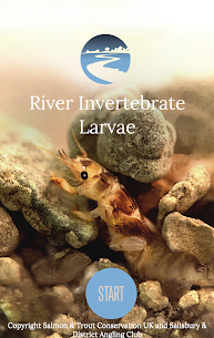 River Invertebrate Larvae For Pc – Free Download And Install On Windows, Linux, Mac 1