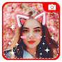 Picture editor - Sticker on photo & Heart Crown