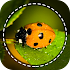 Insect identifier App by Photo, Camera 20203.0.3 (Arm7) (Full Unlocked)
