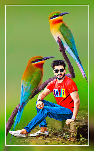 Bird photo editor frames screenshot 14