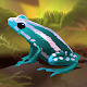 Pocket Frogs: Tiny Pond Keeper