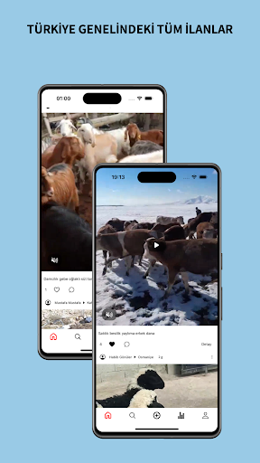 Haysat Screen 2