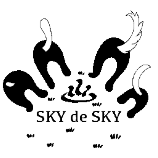 sky de sky logo