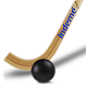 Hockey Stats دانلود در ویندوز