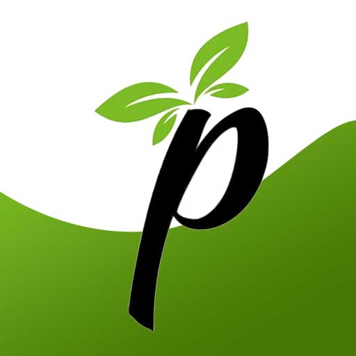 Pure Health logo