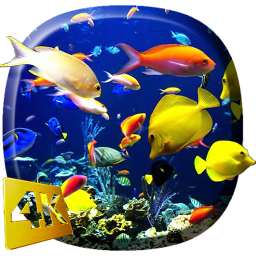 Aquarium Video Live Wallpaper  Icon