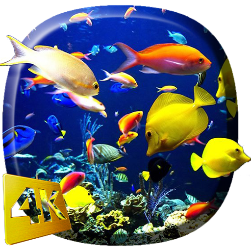 水族館ビデオライブ壁紙 Google Play のアプリ