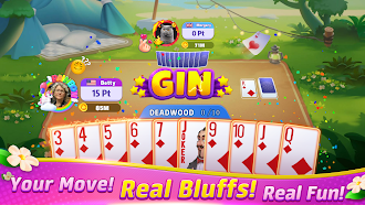 Game screenshot Gin Rummy Frenzy - Card Game hack
