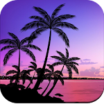 Cover Image of Download Tropical Wallpaper 4K  APK