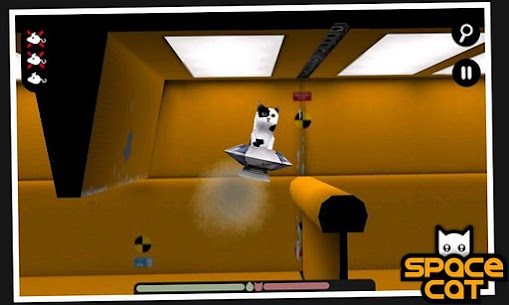 SpaceCat (3D) For PC installation