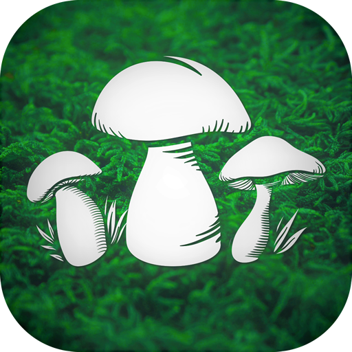 Real Mushroom Hunting Simulato