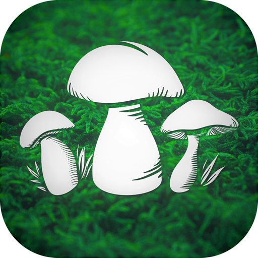 Real Mushroom Hunting Simulato logo