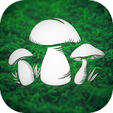 Real Mushroom Hunting Simulator 3D icon