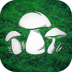 Real Mushroom Hunting Simulato MOD