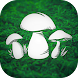 Real Mushroom Hunting Simulato - Androidアプリ