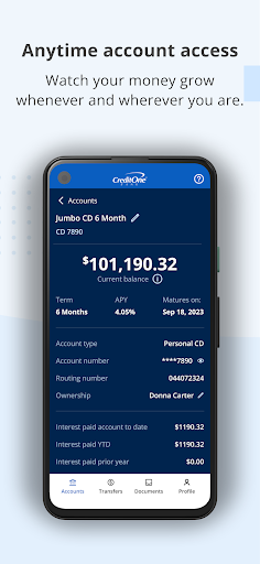 Credit One Bank Deposits Screen 3