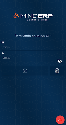 Mind ERP Screen 3