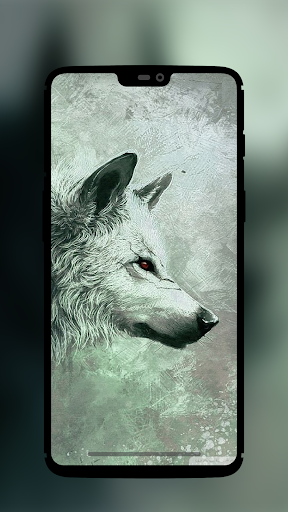 Wolf Wallpaper Background