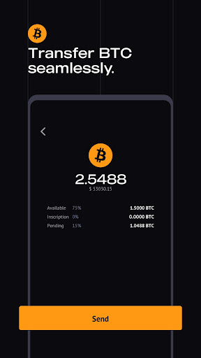 Android application WizzWallet screenshort