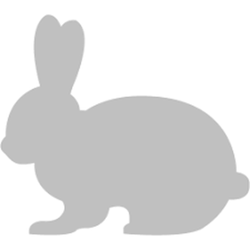 Silver Rabbit logo