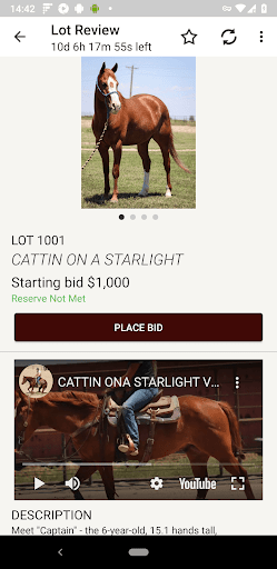High Desert Horse Sales Screen 3