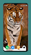 screenshot of Wild Animal Wallpaper 4K