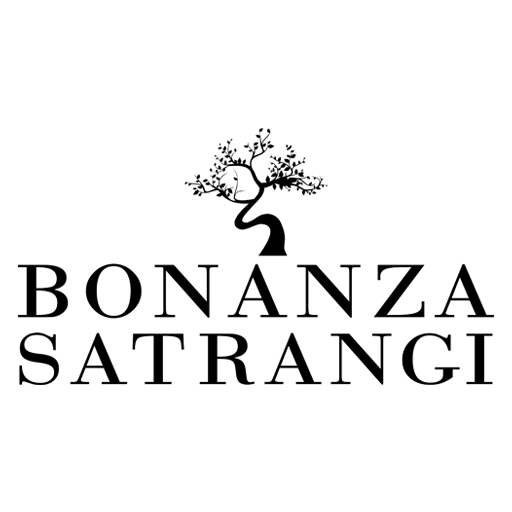 Loyalty App logo