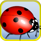 Hungry Ladybug icon
