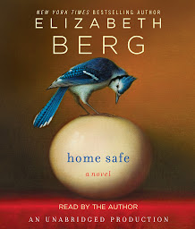 Icon image Home Safe: A Novel