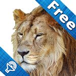 Cover Image of Download Kids Zoo, animal sounds & pictures, games for kids 6.1 APK