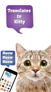 Cat Translate: Speak to Kitten Screenshot
