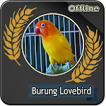 Cover Image of Unduh Suara Burung Lovebird Betina O  APK