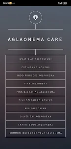 Aglaonema Care