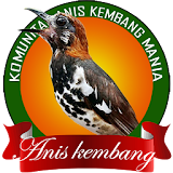 Kicau Anis Kembang icon