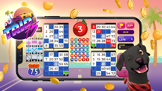 Game screenshot Bingo Rex apk download
