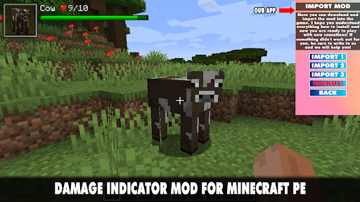Damage Indicator Mod Minecraft