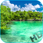 Cover Image of Download Paradise Video Live Wallpaper  APK