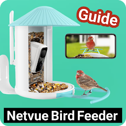 Netvue Bird Feeder Guide: Download & Review