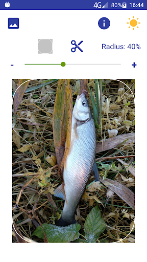 Screenshot of Rounding picture corners