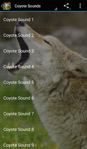 Coyote Sounds Screenshot 3 - AppWisp.com