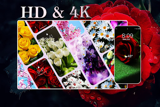Flower Wallpaper HD Screen 3