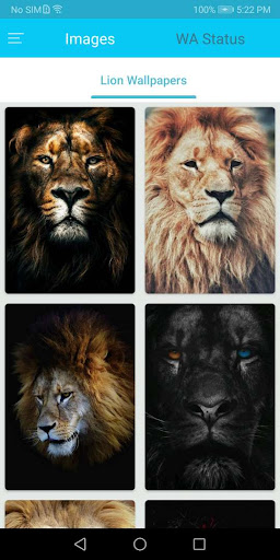 Android application Lion Wallpapers HD screenshort