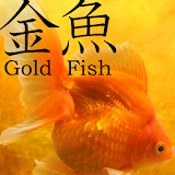 Gold Fish 3D free LWP icon
